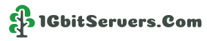 1GbitServers.Com - 1GBit/s Unlimited Servers